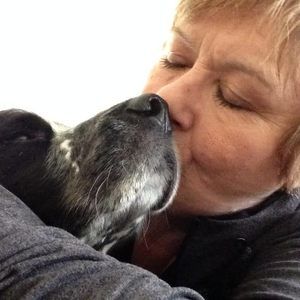 Meet your Posher, Susan